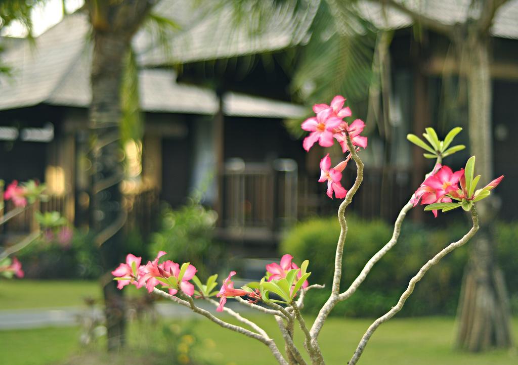 Aman Gati Balangan Hotel Pecatu  Ngoại thất bức ảnh